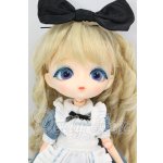 画像: Harmonia bloom/ALICE A アリス A I-26-08-27-201-KD-ZI