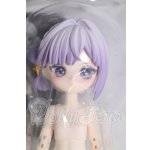 画像: MICHOY「末日序章」1/12 スケール BJDブラインドドール シリーズ I-26-09-10-098-KD-ZI