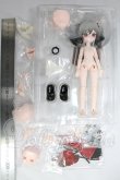 画像5: MICHOY「末日序章」1/12 スケール BJDブラインドドール シリーズ I-26-09-10-098-KD-ZI (5)