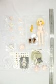 画像3: MICHOY「末日序章」1/12 スケール BJDブラインドドール シリーズ I-26-09-03-399-KD-ZI (3)