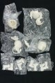 画像: MICHOY「末日序章」1/12 スケール BJDブラインドドール シリーズ I-26-09-03-125-KD-ZI