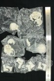 画像2: MICHOY「末日序章」1/12 スケール BJDブラインドドール シリーズ I-26-09-03-125-KD-ZI (2)