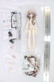 画像2: 不可食用人形（Inedible Doll）「ニャニャニャ次元」1/8 I-26-09-03-072-KD-ZI (2)