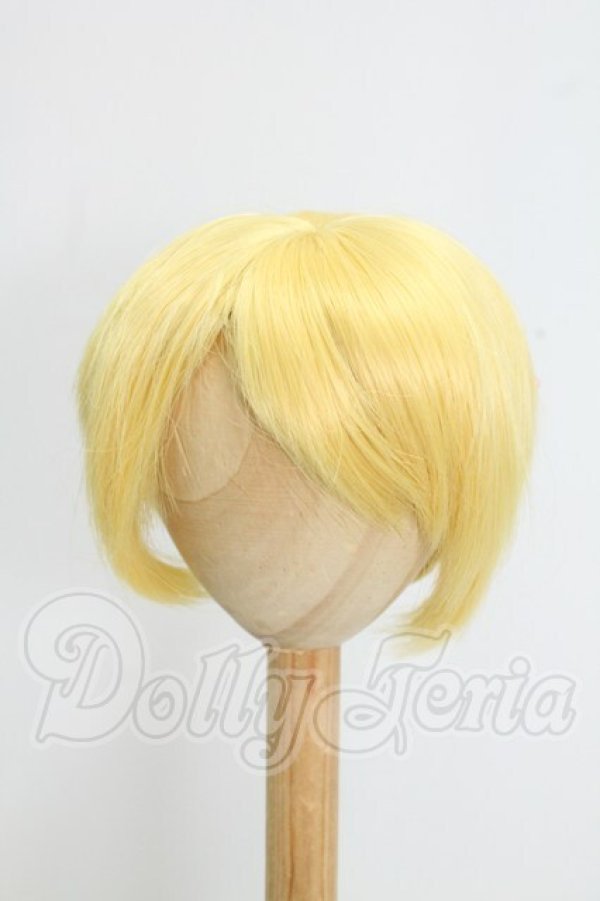 画像1: 8-9inch/ウィッグ I-26-09-03-285-KD-ZI (1)