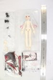 画像2: 不可食用人形（Inedible Doll）「ニャニャニャ次元」1/8 I-26-09-03-345-KD-ZI (2)