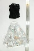 画像2: MDD/OF:衣装セット I-26-09-10-058-KD-ZI (2)