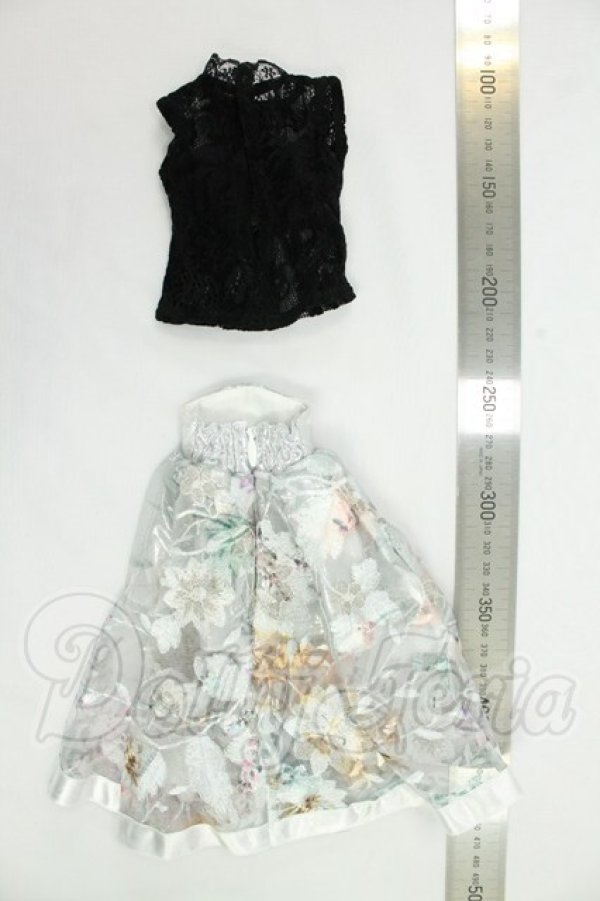 画像2: MDD/OF:衣装セット I-26-09-10-058-KD-ZI (2)