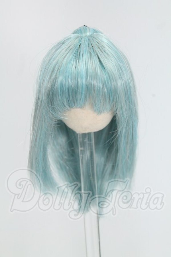 画像1: 3.5inch-4inch/ウィッグ I-26-09-10-106-KD-ZI (1)