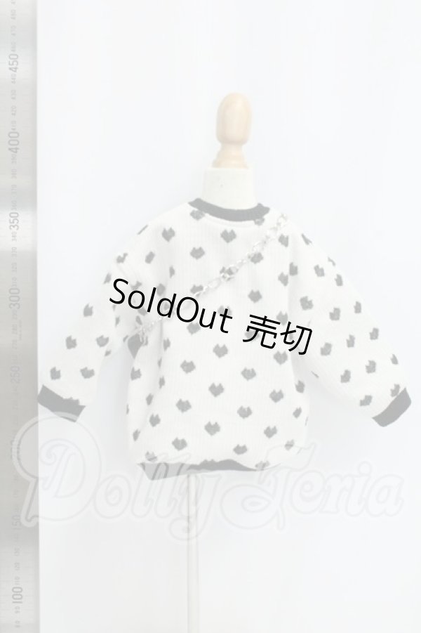 画像2: MDD/OF:衣装セット：shirousalon様製 I-26-09-10-192-KD-ZI (2)