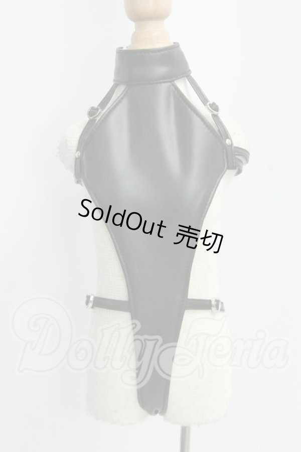 画像1: MDD/OF:レオタードセット I-26-09-10-207-KD-ZI (1)