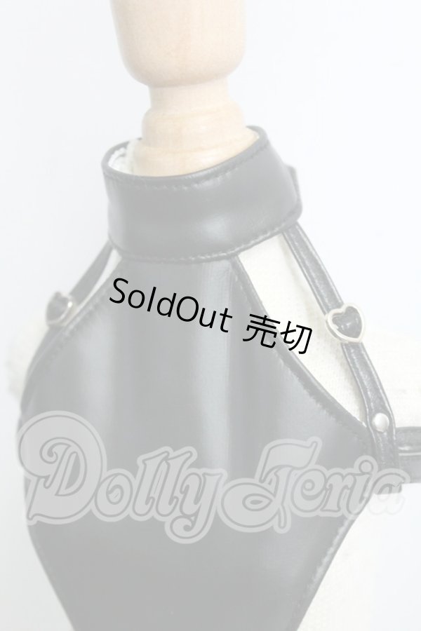 画像2: MDD/OF:レオタードセット I-26-09-10-207-KD-ZI (2)