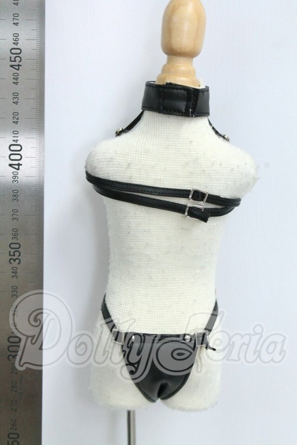 画像3: MDD/OF:レオタードセット I-26-09-10-207-KD-ZI (3)