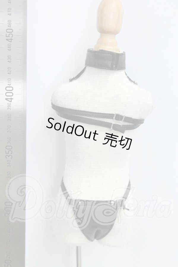 画像3: MDD/OF:レオタードセット I-26-09-10-207-KD-ZI (3)