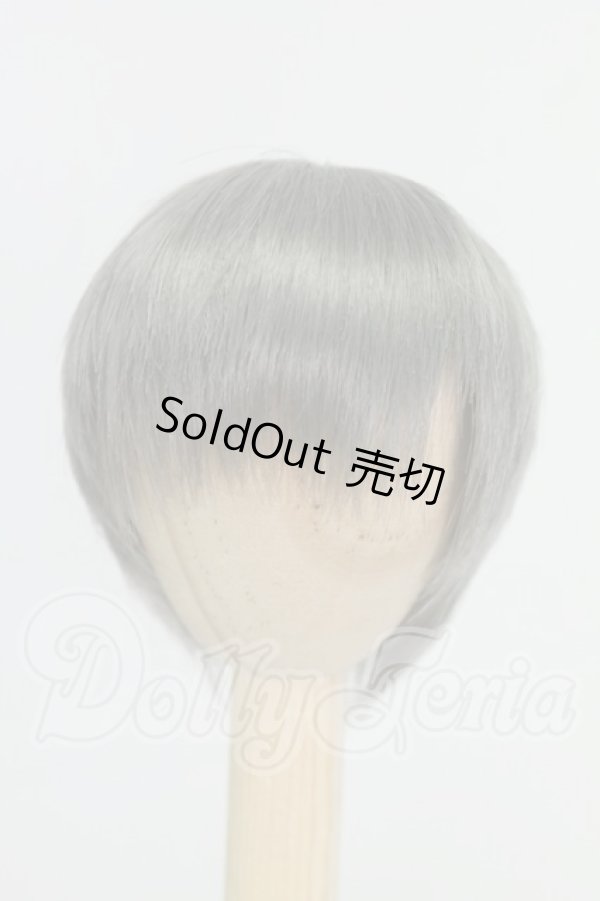 画像1: 6-7inch/ウィッグ I-26-09-10-275-KD-ZI (1)