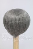 画像2: 7-8inch/ウィッグ I-26-09-10-276-KD-ZI (2)