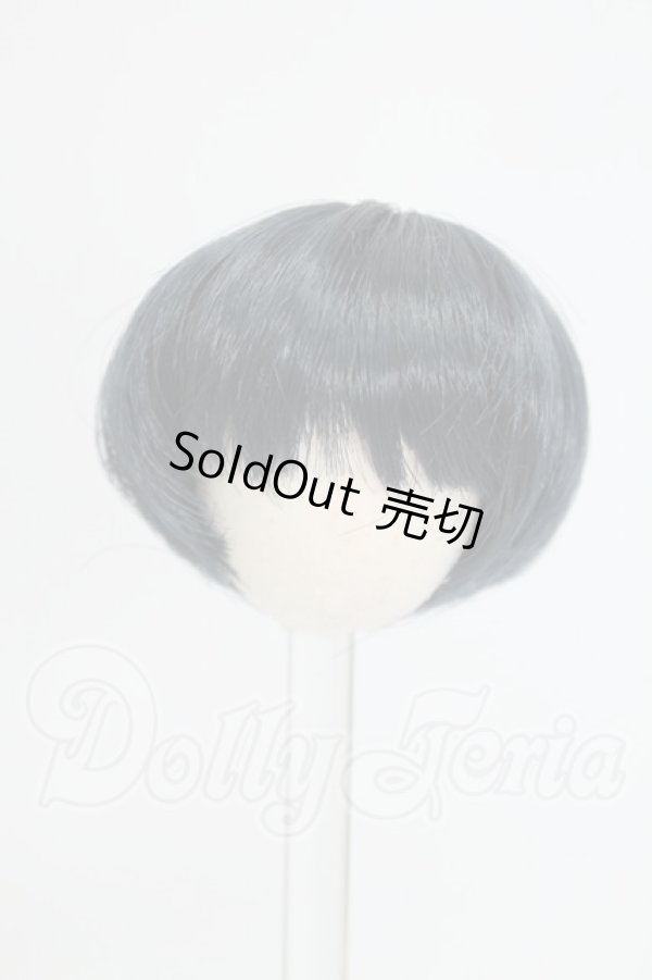 画像1: 3.5inch-4inch/ウィッグ I-26-09-10-251-KD-ZI (1)