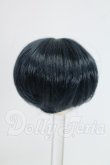 画像2: 3.5inch-4inch/ウィッグ I-26-09-10-251-KD-ZI (2)