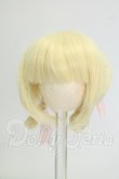 画像1: 3.5inch-4inch/ウィッグ I-26-09-10-253-KD-ZI (1)