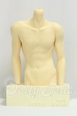 画像1: Studio Naiko/Bust Display Stand-Adonis I-26-09-17-171-KD-ZI (1)