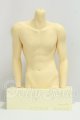 画像: Studio Naiko/Bust Display Stand-Adonis I-26-09-17-171-KD-ZI