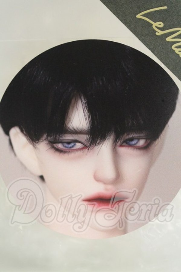 画像1: LeMoon/TOXY ヘッド I-26-09-17-152-KD-ZI (1)