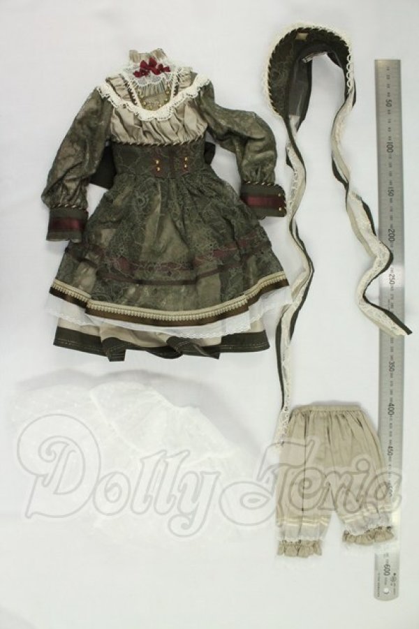 画像3: SD/OF：ASTRANTIA様製ドレス I-26-09-24-022-KD-ZI (3)