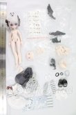 画像2: TENCYスタジオ「光と影：光翼学院」1/8 スケール BJDブラインドドール シリーズ I-26-09-17-112-KD-ZI (2)