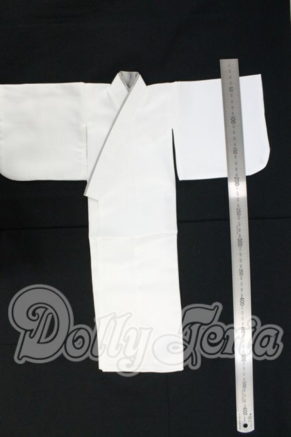 画像4: SD13BOY/OF 衣装セット I-26-09-17-220-KD-ZI (4)