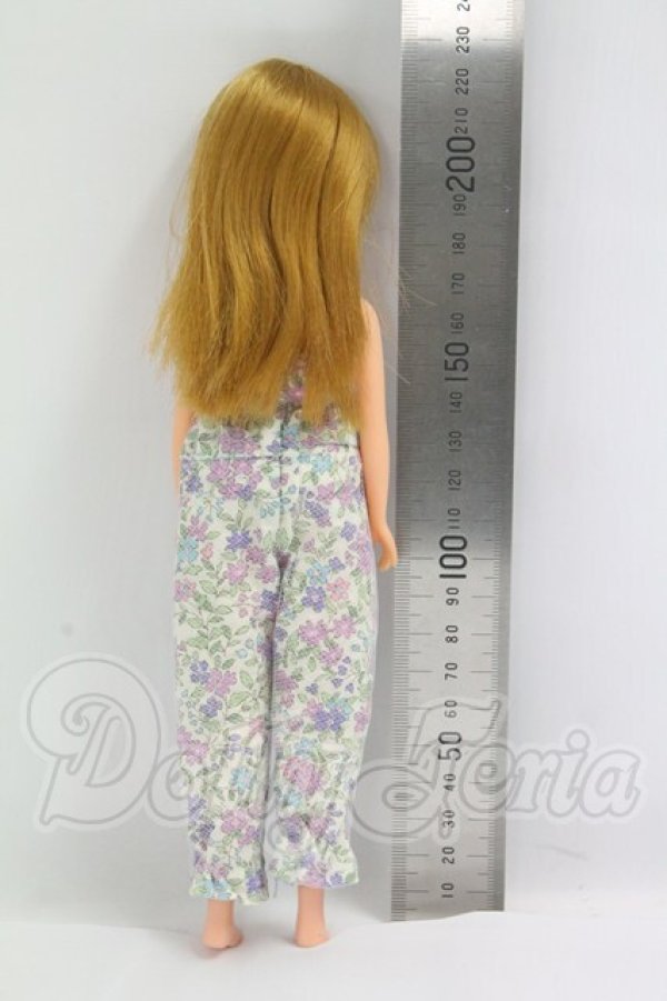 画像3: リカちゃん/本体・日本製 I-26-09-17-284-KD-ZI (3)