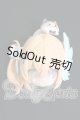 画像: TENCYスタジオ「光と影：光翼学院」1/8 スケール BJDブラインドドール シリーズ I-26-09-24-090-KD-ZI