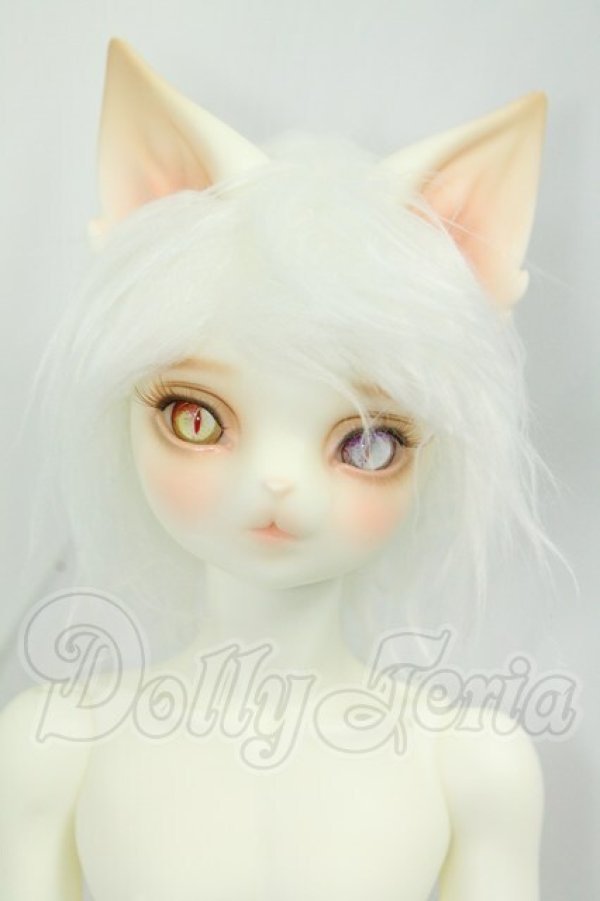 画像1: DEARMINE/ARTHUR L. 文豪 Limited ver. I-26-09-24-148-KD-ZI (1)