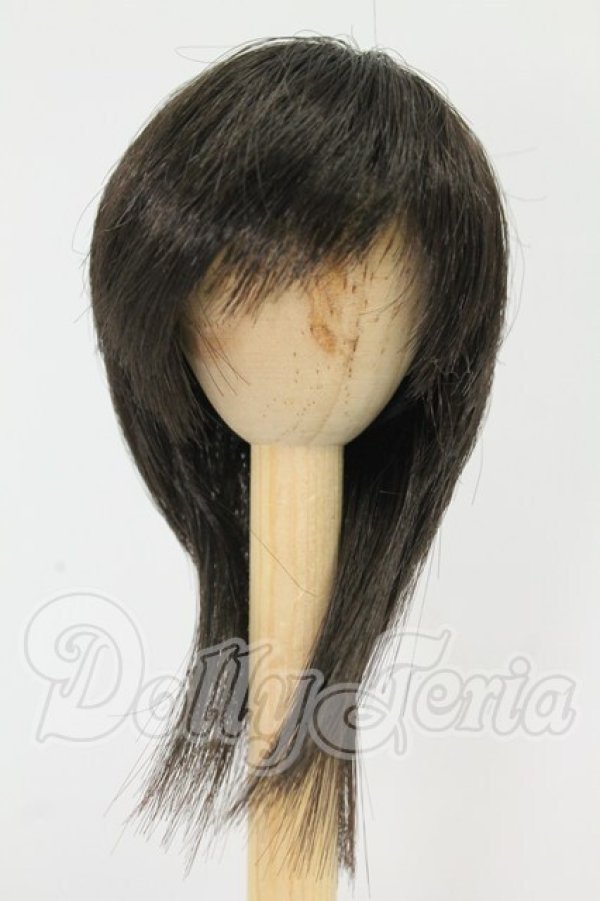 画像1: 6-7inch/ウィッグ I-26-09-24-342-KD-ZI (1)
