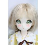 画像: TinyFox/人見知りのワンちゃん リタ I-26-10-01-052-KD-ZI