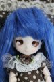 画像: DOLLCE/ミニスウィーツドール：ローズマリー I-26-10-01-213-KD-ZI
