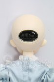 画像4: Huajing doll/艾娃 I-26-10-08-007-KD-ZI (4)