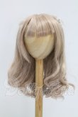 画像1: 8-9inch/Pengin Workshop様 ウィッグ I-26-10-01-165-KD-ZI (1)
