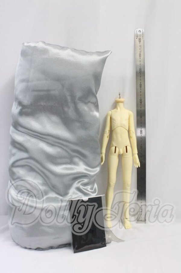 画像3: SPIRIT DOLL/48cmボディ I-26-10-08-001-KD-ZI (3)