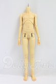 画像1: SPIRIT DOLL/61.5cm Jointed Torso Body Male Body I-26-10-08-002-KD-ZI (1)
