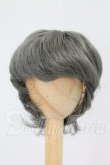 画像1: 7-8inch/ウィッグ I-26-10-08-287-KD-ZI (1)