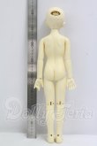 画像6: SDM/子天使白蓮 白雪ver. I-26-10-08-012-KD-ZI (6)