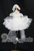 画像1: MDD/OF:ドレス I-26-10-08-238-KD-ZI (1)