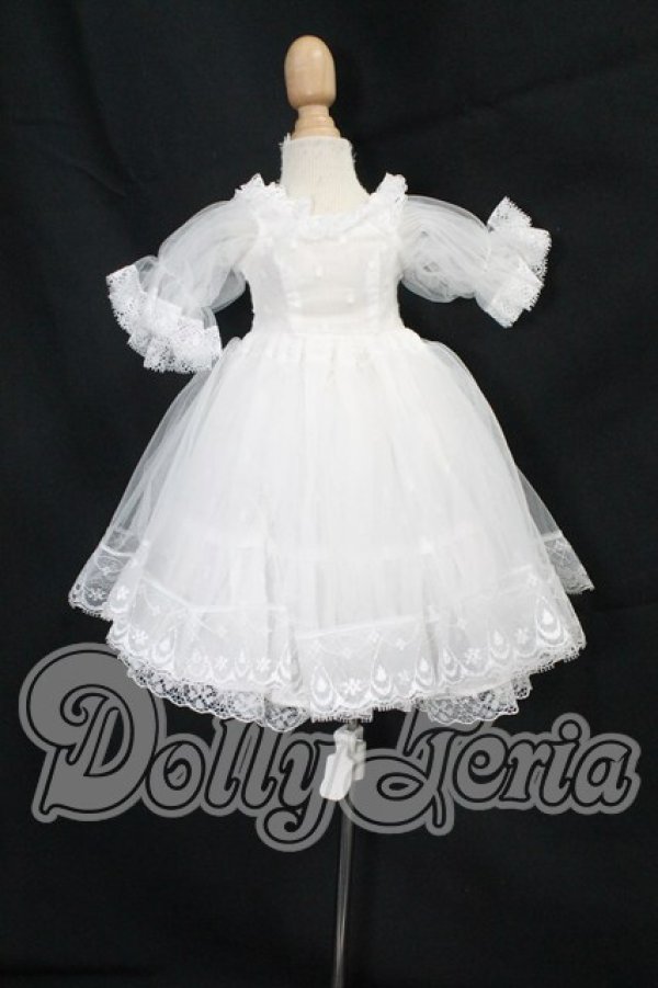 画像1: MDD/OF:ドレス I-26-10-08-250-KD-ZI (1)
