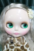 画像2: ネオブライス/カプチーノチャット I-26-10-15-104-KD-ZI (2)