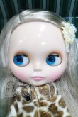 画像4: ネオブライス/カプチーノチャット I-26-10-15-104-KD-ZI (4)