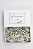 画像1: ネオブライス/OF:小物 I-26-10-08-083-KD-ZI (1)