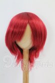 画像1: 8-9inch/ウィッグ I-26-10-08-161-KD-ZI (1)
