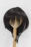 画像1: 9-10inch/ウィッグ I-26-10-15-019-KD-ZI (1)