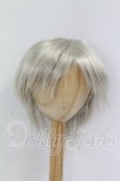 画像1: 8-9inch/ウィッグ I-26-10-15-231-KD-ZI (1)