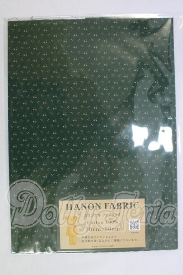 画像1: HANON FABRIC/オリジナルファブリック I-26-10-08-384-KD-ZI (1)