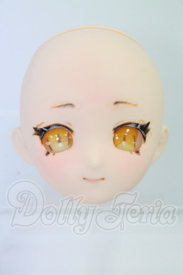 画像1: パラボックス/PB6006-B Aiちゃんヘッド カスタム I-26-10-15-054-KD-ZI (1)